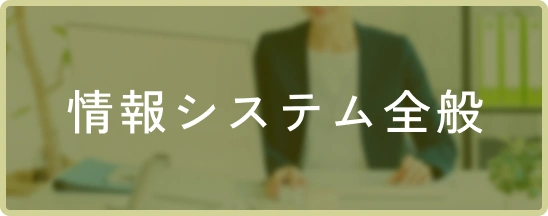 情報システム全般