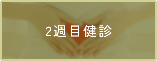 2週目健診